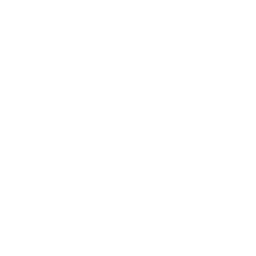 Burgers
